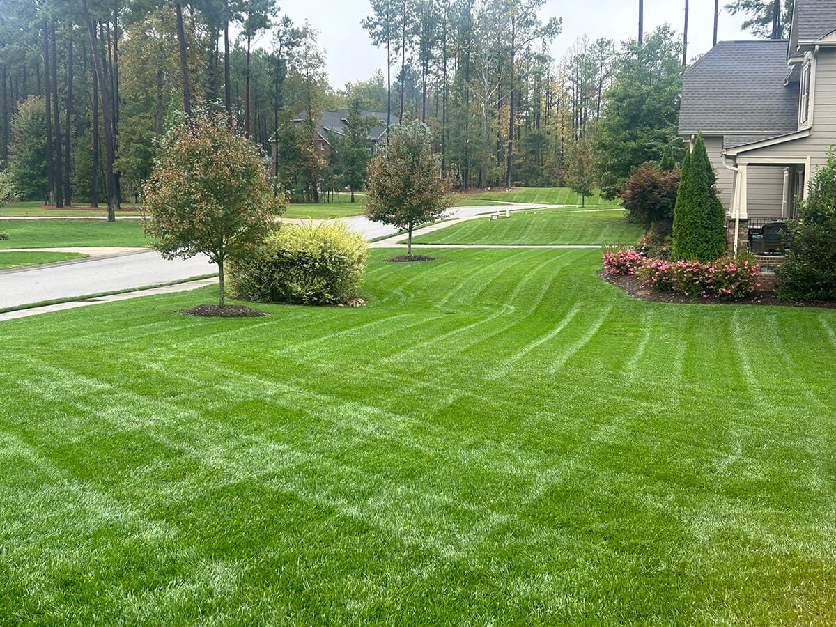 Haven-Home-gallery-2