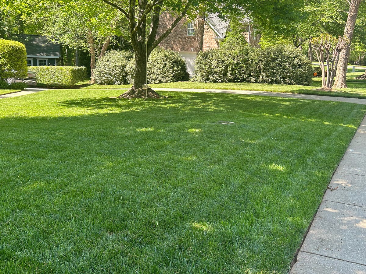 Haven-Home-gallery-6