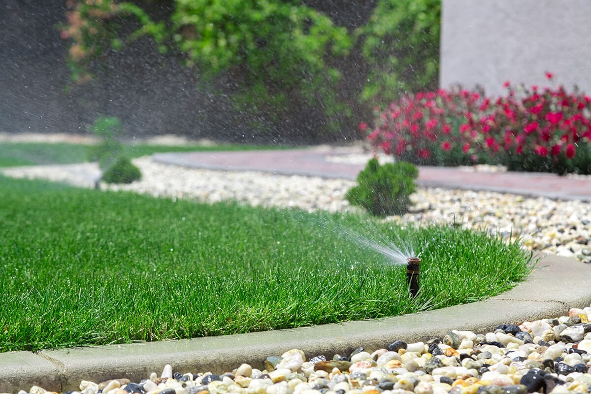Haven-Lawn-Plant-Health-Irrigation