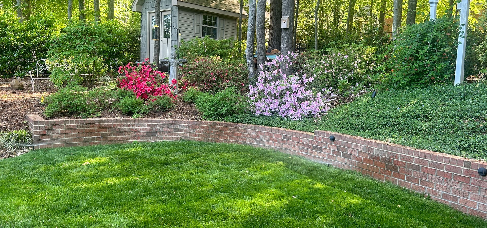 Haven-Lawn-plant-health-hero