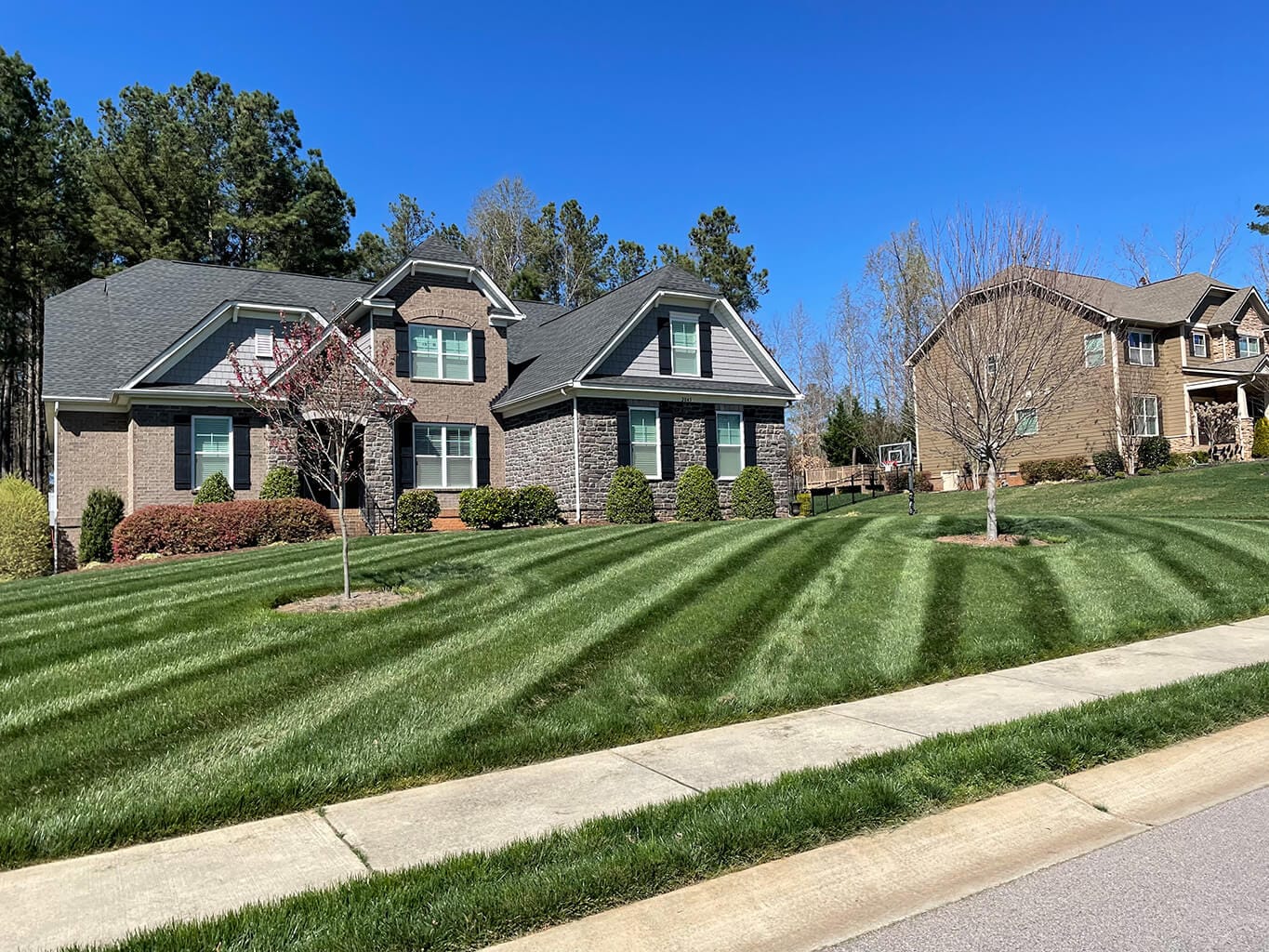 Lawn and Plant Health