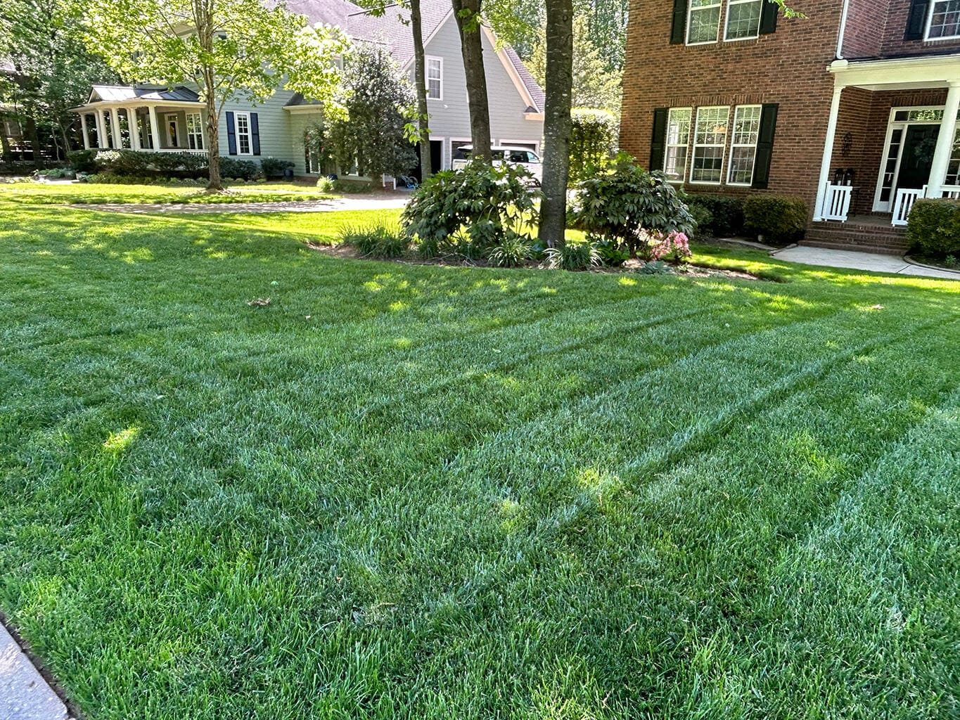 Lawn and Plant Health