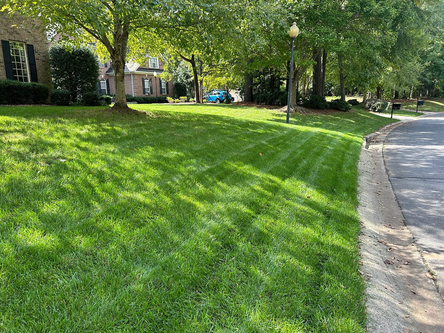 Haven-lawn-health-strong-lawnjpg